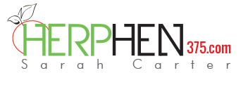 herphen375 – Situs Slot Online Informasi Lengkap Akurat